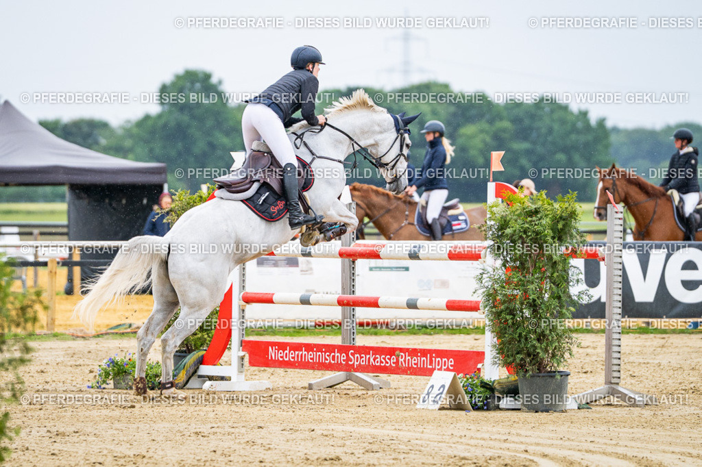 DSC07770 | Pferdegrafie