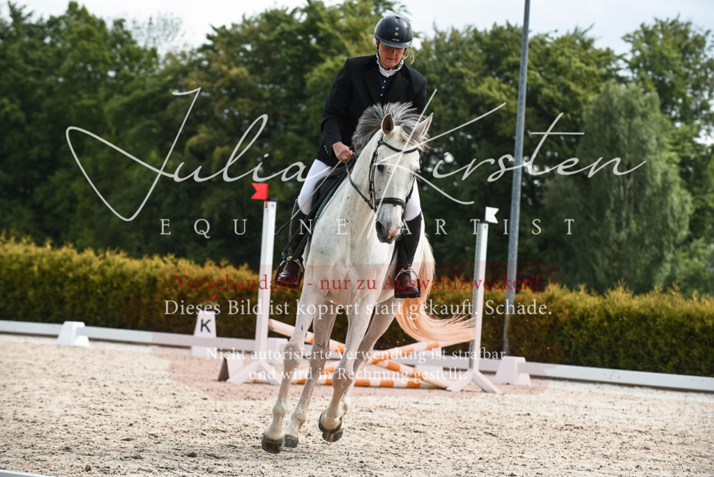 20230518_JK-Röhrsdorf-10-271 | Pferde- und Turnierfotografie in Westsachsen. Pferdeportraits, Auftragszeichnungen und intuitive Kunst.