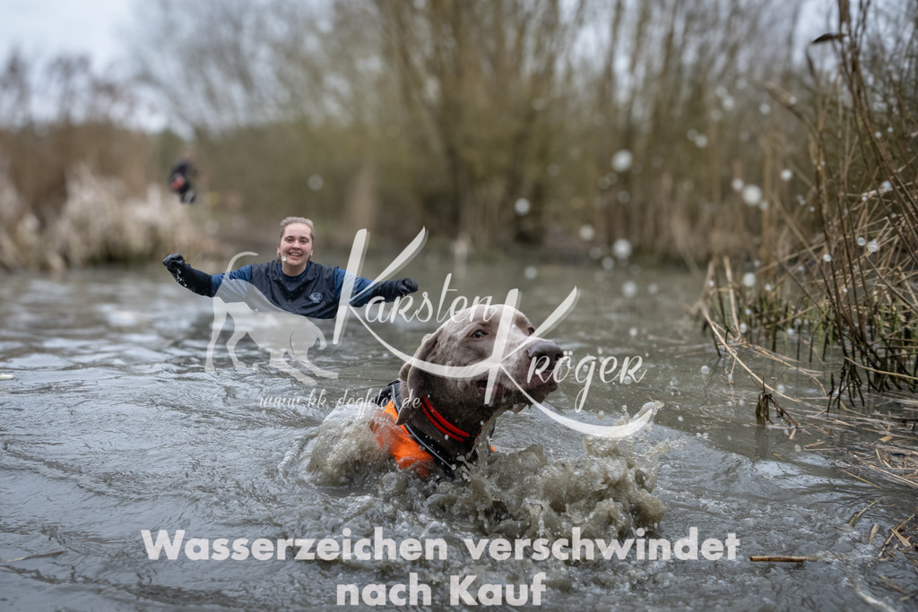 1006_ZZ95776 | kk-dogfotos
