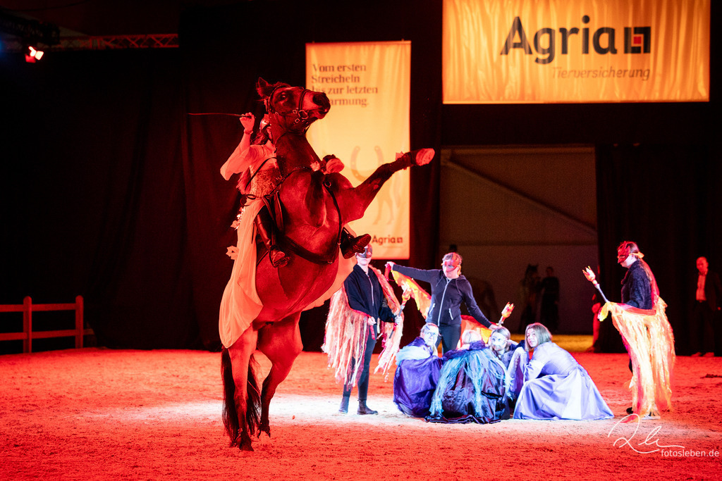 846A8744 | fotosleben - Realisiert mit Pictrs.com