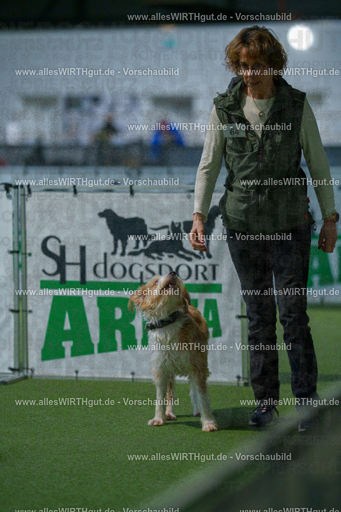 7R503364 | Professionelle Tierfotografie in Mönchengladbach von Daniel Wirth (allesWIRTHgut). Liebevolle & natürliche Bilder von Hunden & Katzen für unvergessliche Erinnerungen.