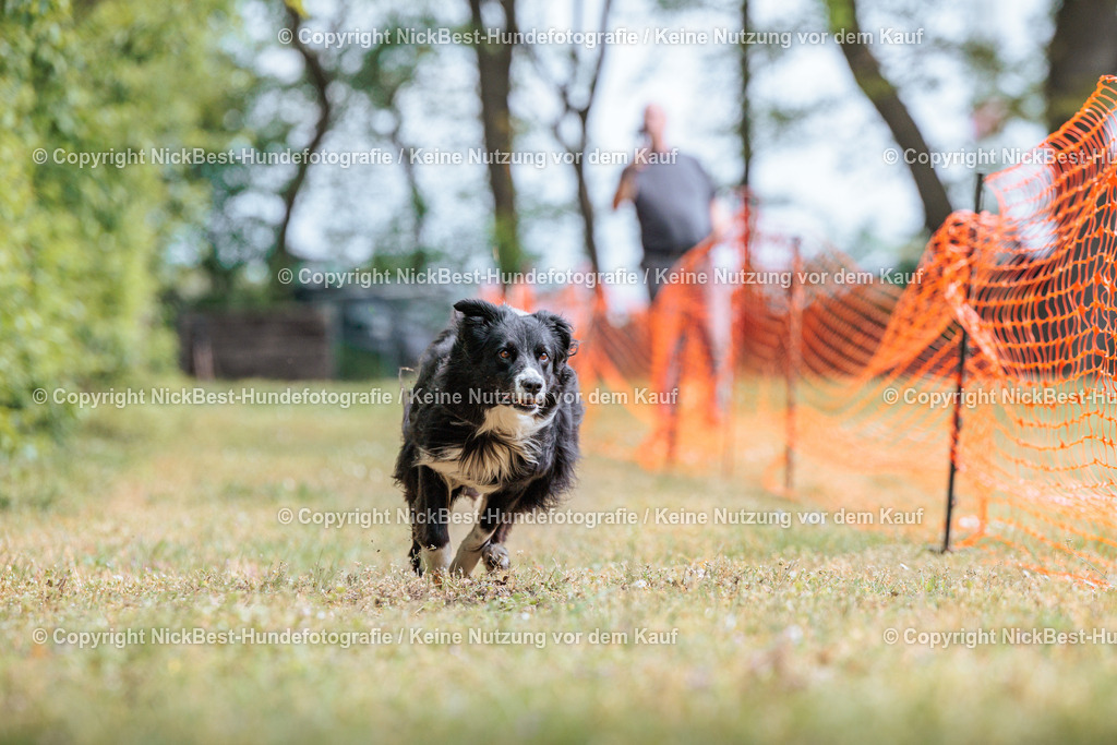 Sage Hunderennen Frühlingsfest-2026-Nickbest-Hundefotografie-0305 | Dein Hund! Dein Moment! Deine Erinnerungen! Hundefotografie in Bremen Blumenthal. Ich fange die besonderen Momente deines Vierbeiners ein – ob Indoor mit Blitzanlage oder in der freien Natur. Sicher dir dein Moment und dein Termin für eure Erinnerungen.