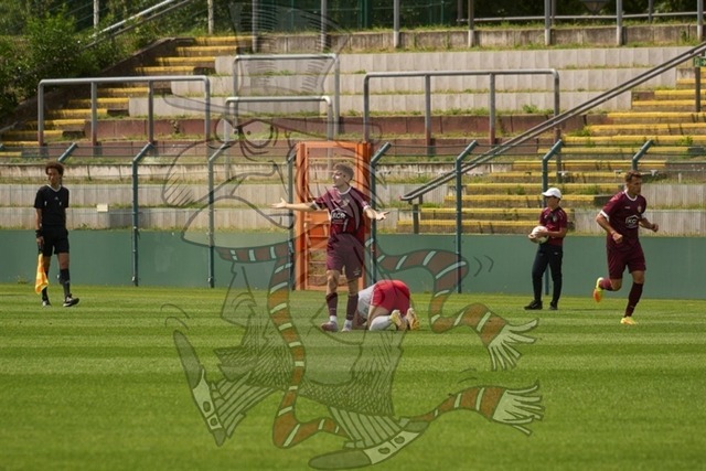 BFC Dynamo vs. SV Lichtenbger 47 022 | mythos-online-redaktion