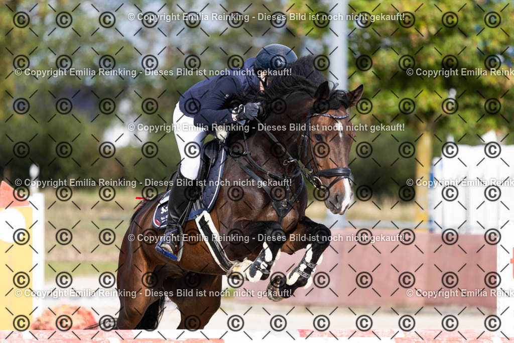 CL5A0072 | Emilia Reinking Fotografie - Realisiert mit Pictrs.com