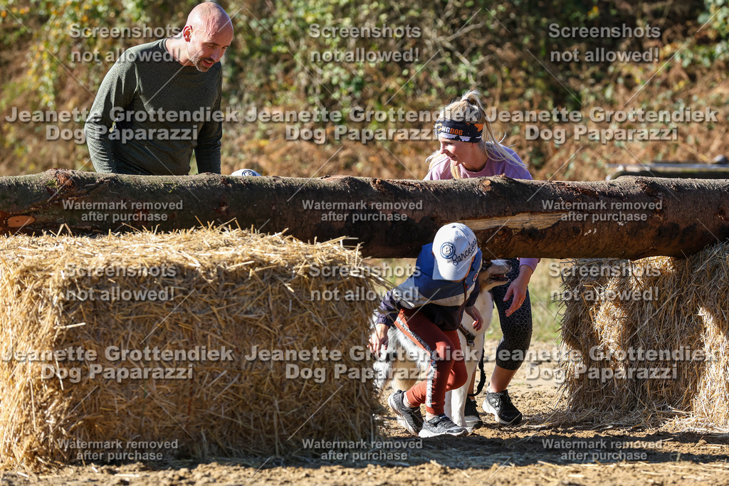 Dog Paparazzi - Strongdog 10-25-2718 | Dog Paparazzi Jeanette Grottendiek Fotografie & Videografie - Realisiert mit Pictrs.com