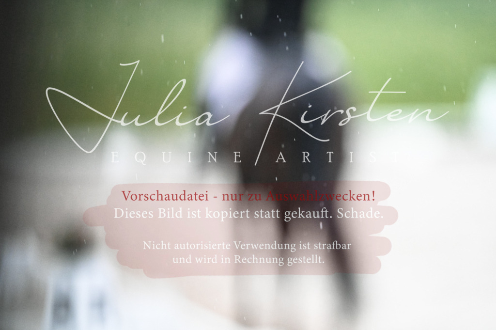 DSC_4705 | Pferde- und Turnierfotografie in Westsachsen. Pferdeportraits, Auftragszeichnungen und intuitive Kunst.