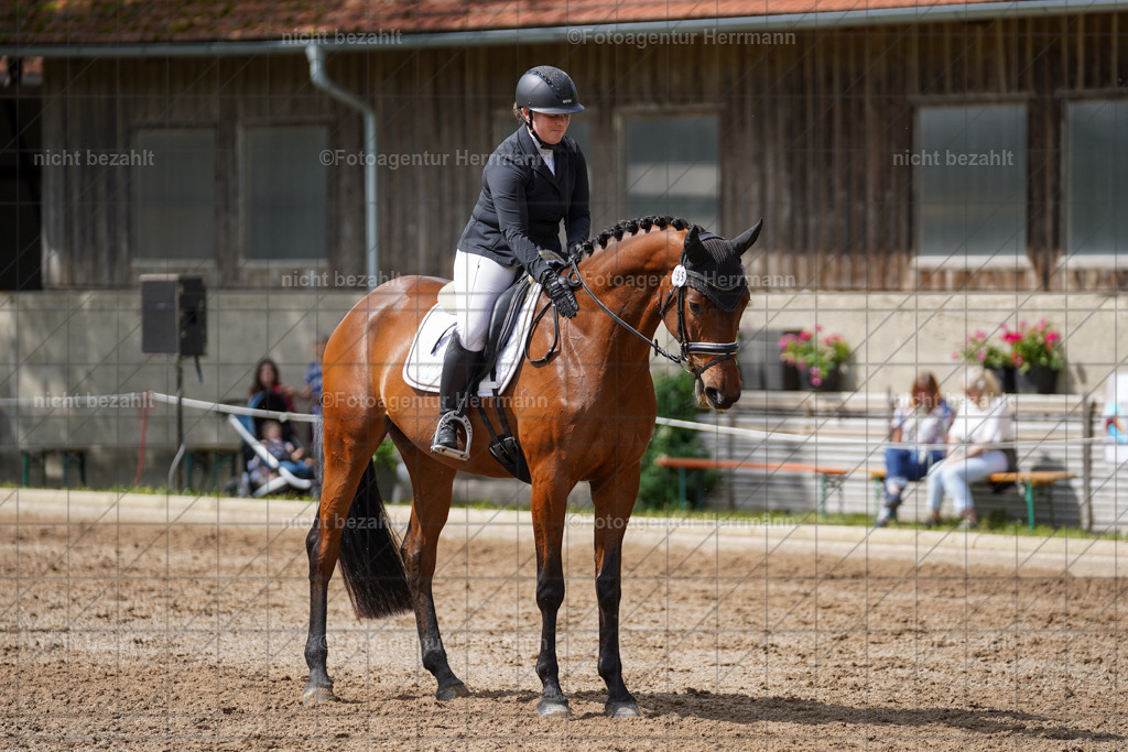 20240519-FAH04931 | Turnierbilder Niederseeon 2024, Vielseitigkeitsdressur, Reitsportbilder aus dem Landkreit Ebersberg, Gut Steinsee, RC Steinsee, Fotoagentur Herrmann