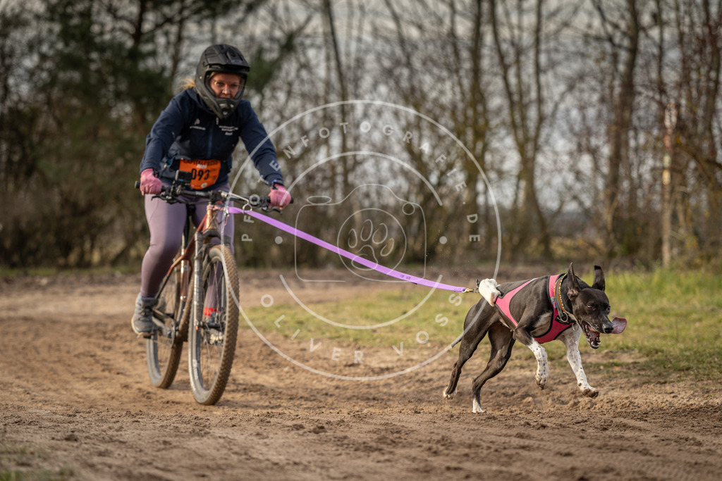 Pfotenfotografie_DV3A8395 | Hundefotografie, Tierfotograf, Pfotenfotografie, Fotoshooting Hund, Hunde Portrait, Hundesport, Hundeportraits, Heideshooting, Hunde, Sportfotograf, Hundefotograf, Turnierhundsport, THS,  - Realisiert mit Pictrs.com
