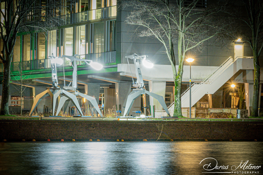 _DSC4390 2 | Fotografien, Fotos und Bilder aus Mainz, Frankfurt, Wiesbaden und anderen Orten auf der Welt - Fotografiert von Darius Metzner