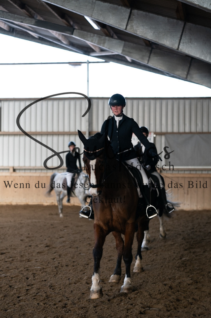 A7V05405 | Pferdefotograf