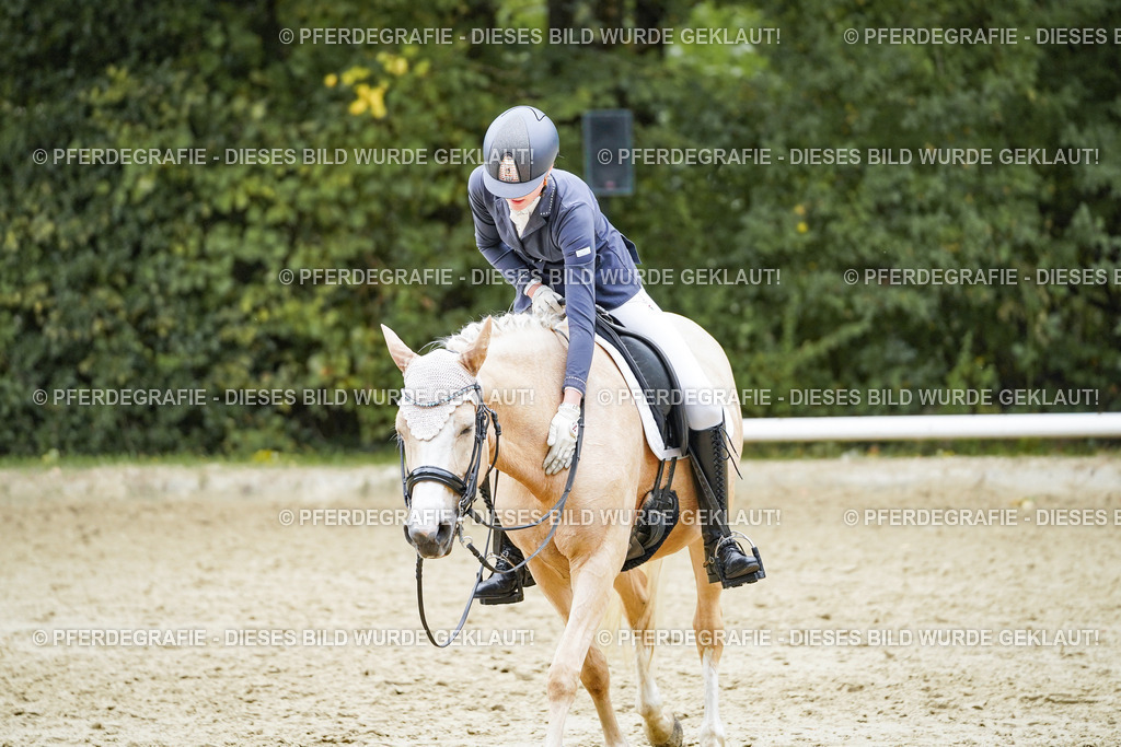 DSC07637 | Pferdegrafie