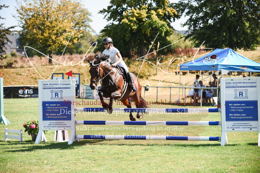 DSC_2720 | Pferde- und Turnierfotografie in Westsachsen. Pferdeportraits, Auftragszeichnungen und intuitive Kunst.