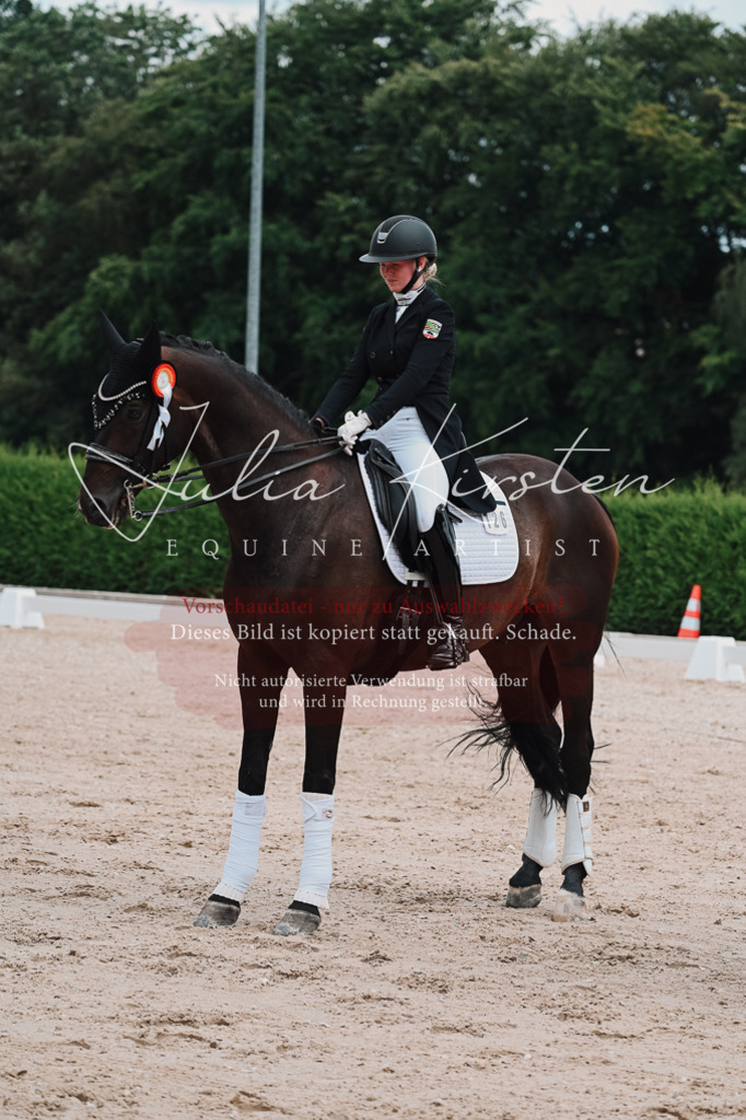 DSC_4419 | Pferde- und Turnierfotografie in Westsachsen. Pferdeportraits, Auftragszeichnungen und intuitive Kunst.