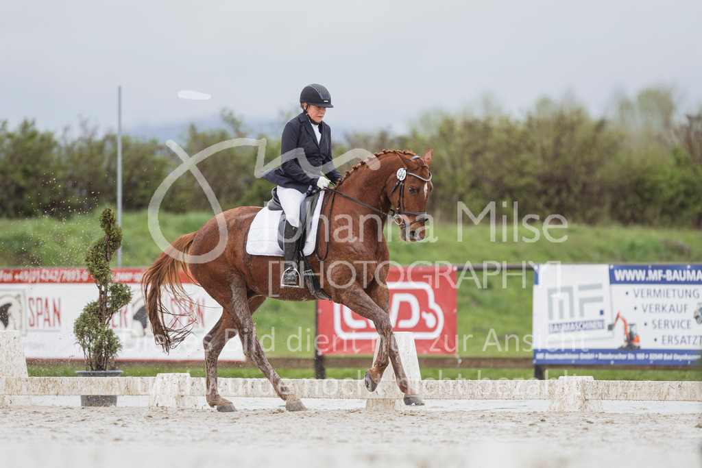 240401_Fruehlingsfest_A1-Dressur-425 | Deine schönsten Turniermomente als professionelle Fotos! Entdecke hochwertige Pferdesport-Fotografie im Online-Shop. Jetzt Fotos finden & bestellen!