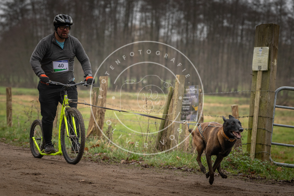 Pfotenfotografie_DV3A2584 | Hundefotografie, Tierfotograf, Pfotenfotografie, Fotoshooting Hund, Hunde Portrait, Hundesport, Hundeportraits, Heideshooting, Hunde, Sportfotograf, Hundefotograf, Turnierhundsport, THS,  - Realisiert mit Pictrs.com