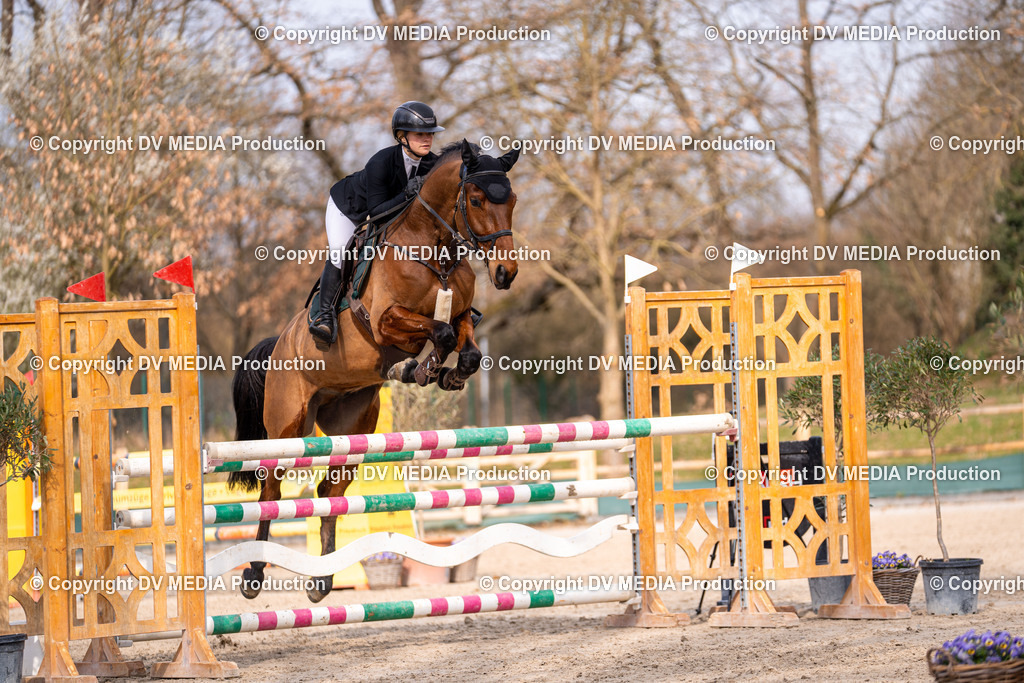 Kranichstein Tag 2-1564 | dv-media-shop - Realisiert mit Pictrs.com