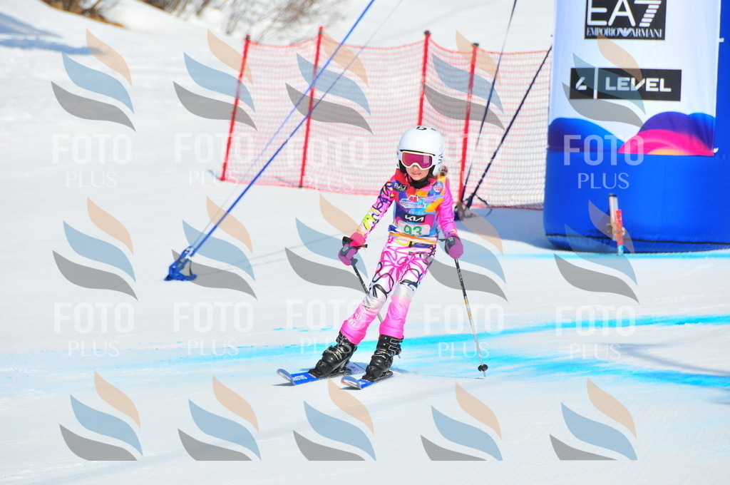 DSC_0615 | holidayphoto