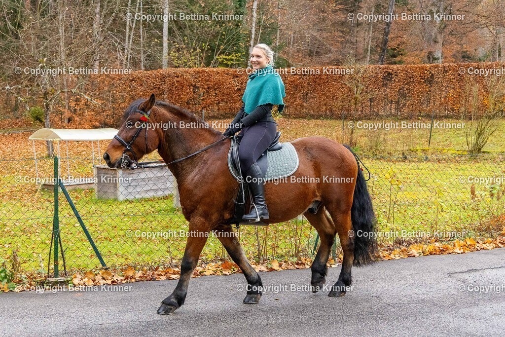 LL25-154 | foto-bettina-krinner - Realisiert mit Pictrs.com