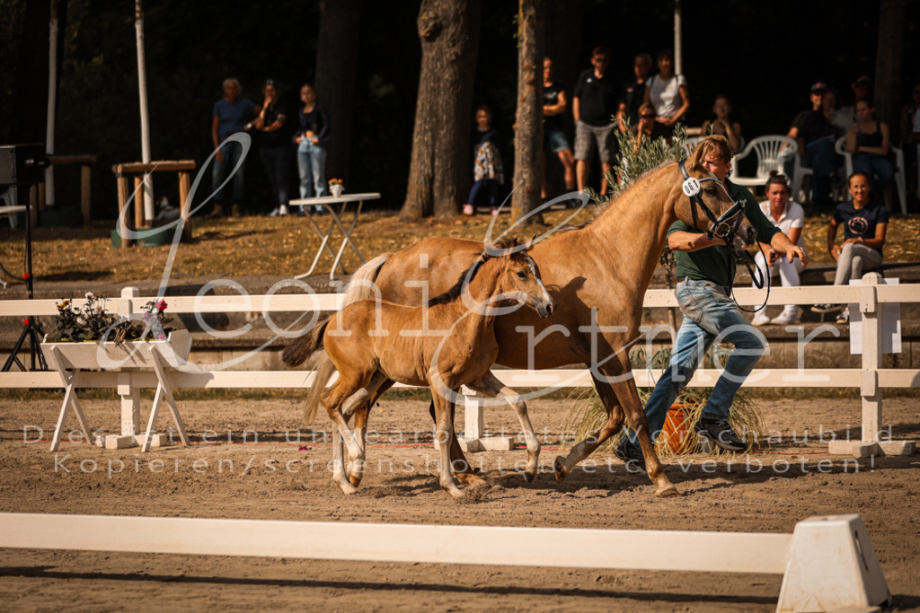 10.DoRP00147 | Leoni Ertmer Photography - Realisiert mit Pictrs.com