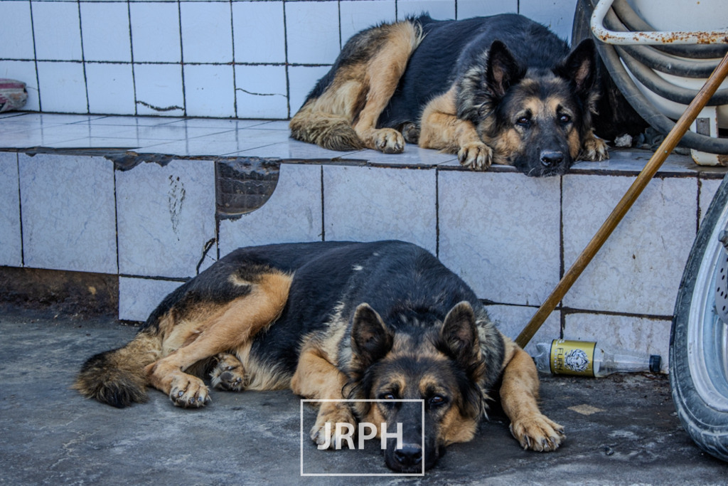 IMG_9015 | jrph - Realisiert mit Pictrs.com