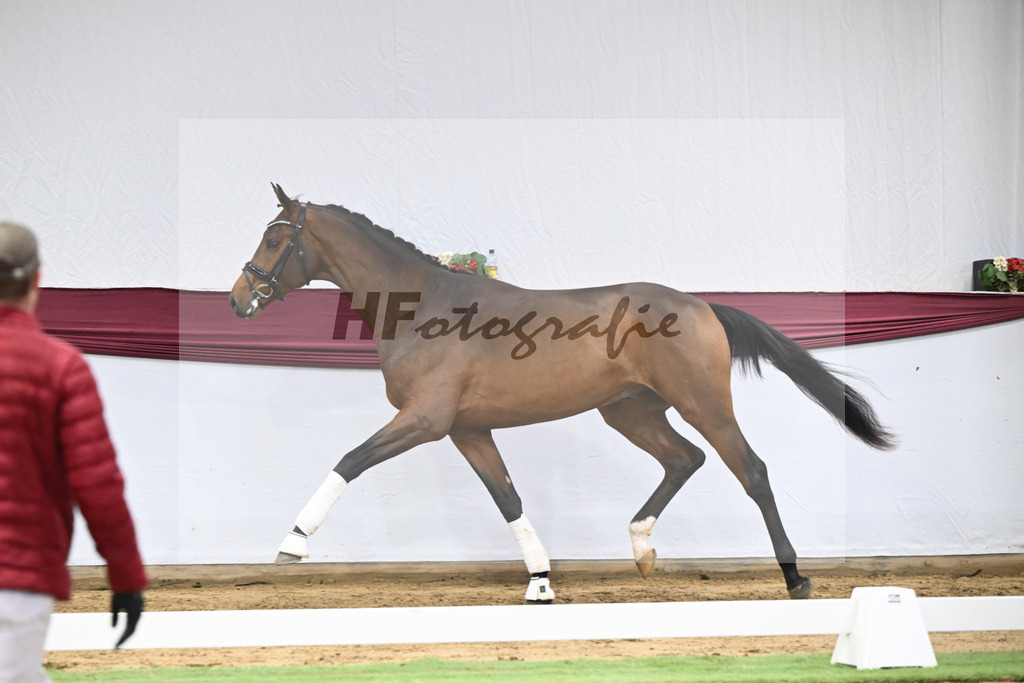 Kat-Nr. 43 Va Pensiero x Secret_Philipp Stuppert_47251515 | hf-fotografie - Realisiert mit Pictrs.com