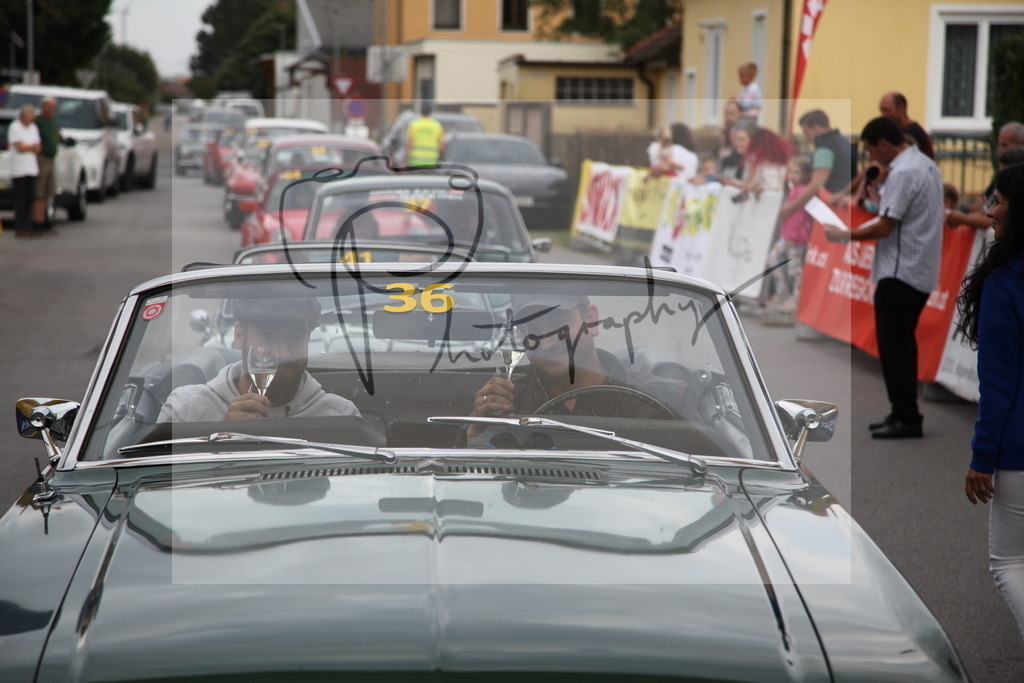 IMG_6065 | Gerhard Witt