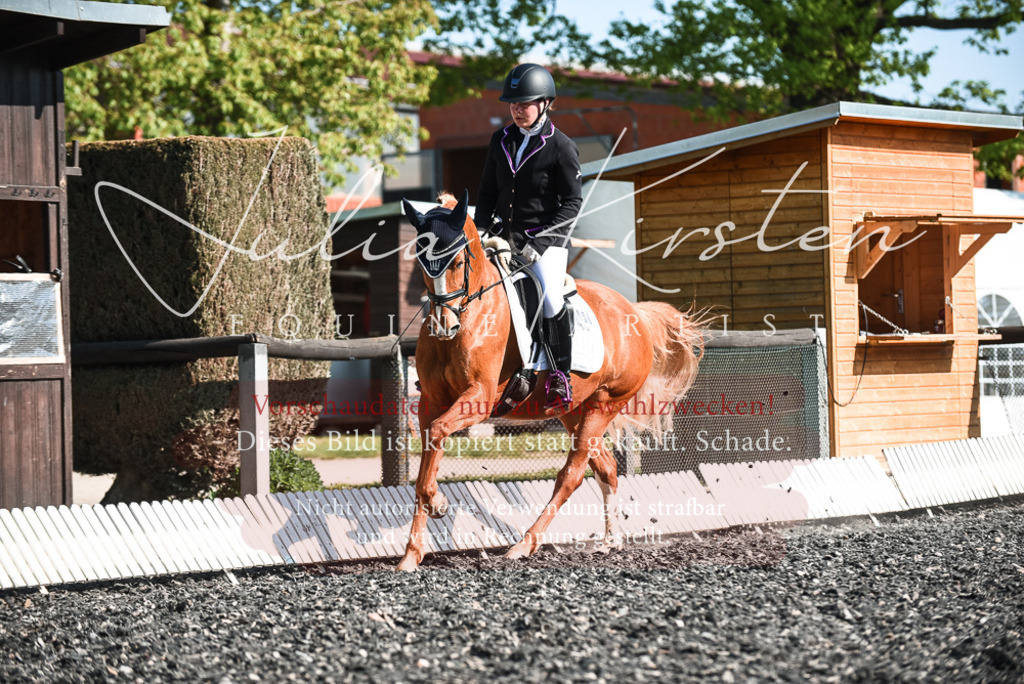 DSC_8434 | Pferde- und Turnierfotografie in Westsachsen. Pferdeportraits, Auftragszeichnungen und intuitive Kunst.