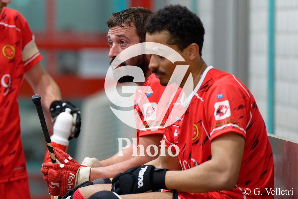 DSC_5321 | Velletri Photo