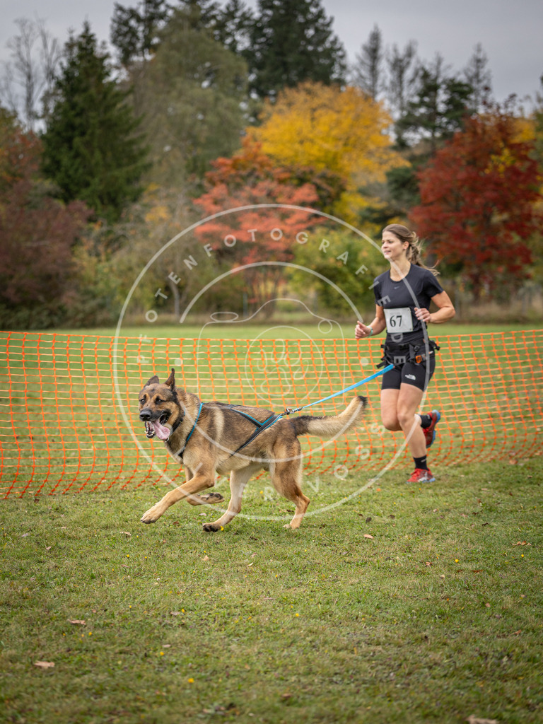 Pfotenfotografie_DV3A2781 | Hundefotografie, Tierfotograf, Pfotenfotografie, Fotoshooting Hund, Hunde Portrait, Hundesport, Hundeportraits, Heideshooting, Hunde, Sportfotograf, Hundefotograf, Turnierhundsport, THS,  - Realisiert mit Pictrs.com