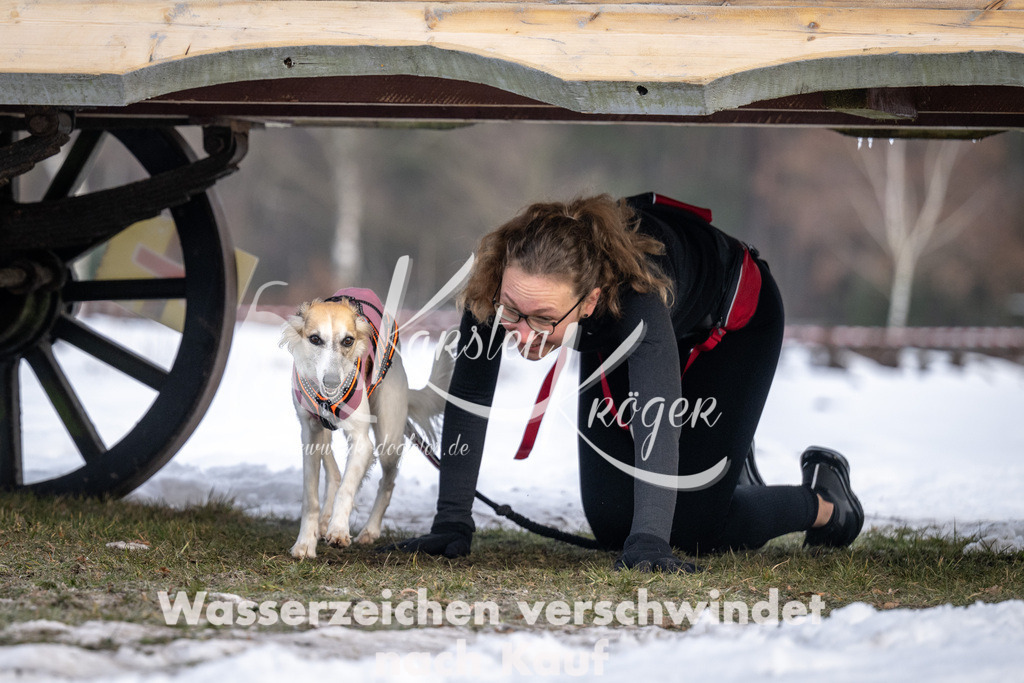 0811_ZZ90848-5 | kk-dogfotos