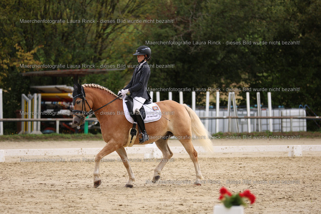 HG9A0458 | laurarinckfotografie - Realisiert mit Pictrs.com