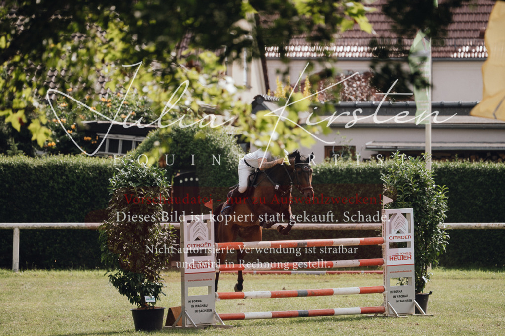 DSC_0979 | Pferde- und Turnierfotografie in Westsachsen. Pferdeportraits, Auftragszeichnungen und intuitive Kunst.