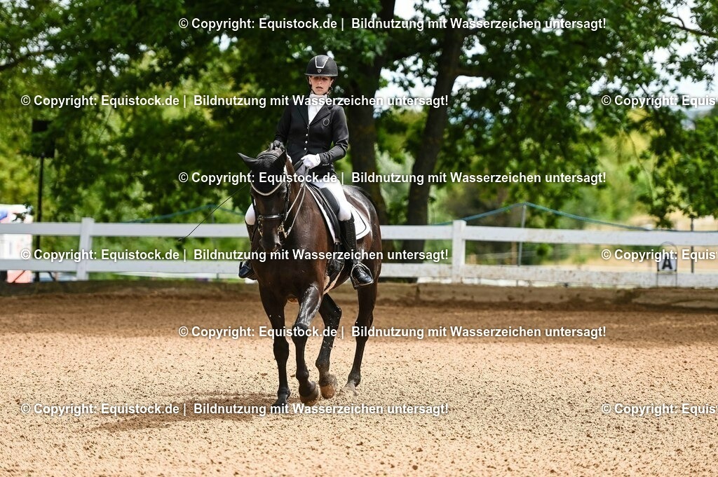20230716_01_Dressurprüfung Kl.M_0011 | equistock