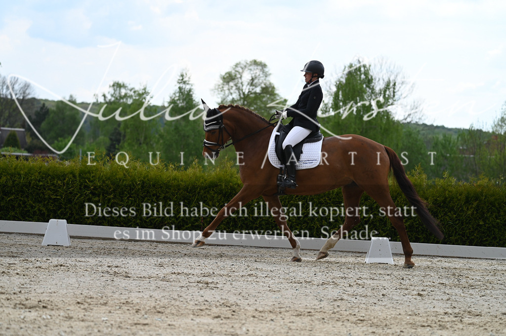 20230512_JK-Röhrsdorf-03-085 | Pferde- und Turnierfotografie in Westsachsen. Pferdeportraits, Auftragszeichnungen und intuitive Kunst.