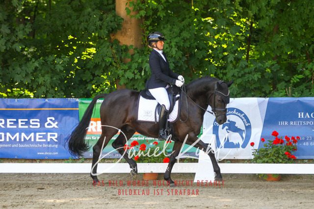 DKP42313 | Turniersportfotografie; Pferdefotografie; Dressurfotografie