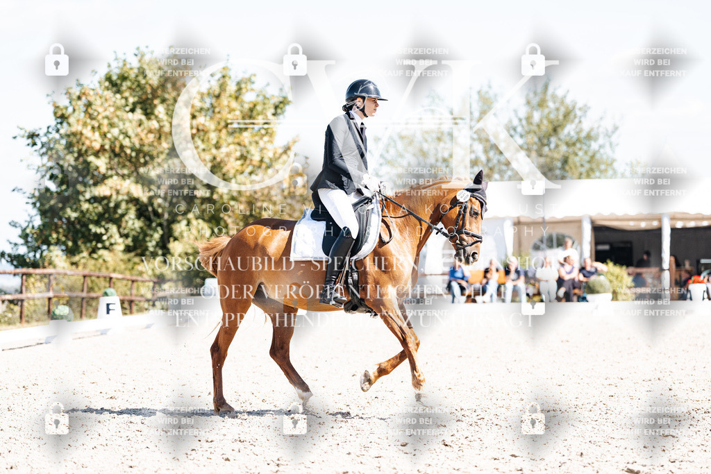 CK903577 | Turnierfotografie Pferdefotografie Trier Rheinland-Pfalz Pferdesport Reitsport Tierfotografie Sportfotografie Pferdevideo Pferdevideografie Equestrianvideography equestrianphotography  - Realisiert mit Pictrs.com