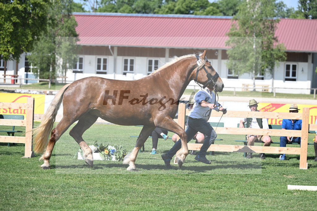Kat-Nr. 13 Ida_Weiderer_20230206 | hf-fotografie - Realisiert mit Pictrs.com