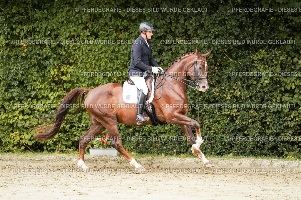 DSC03757 | Pferdegrafie