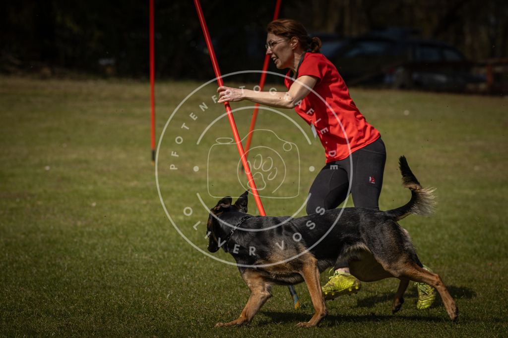 Pfotenfotografie_DV3A4901 | Hundefotografie, Tierfotograf, Pfotenfotografie, Fotoshooting Hund, Hunde Portrait, Hundesport, Hundeportraits, Heideshooting, Hunde, Sportfotograf, Hundefotograf, Turnierhundsport, THS,  - Realisiert mit Pictrs.com