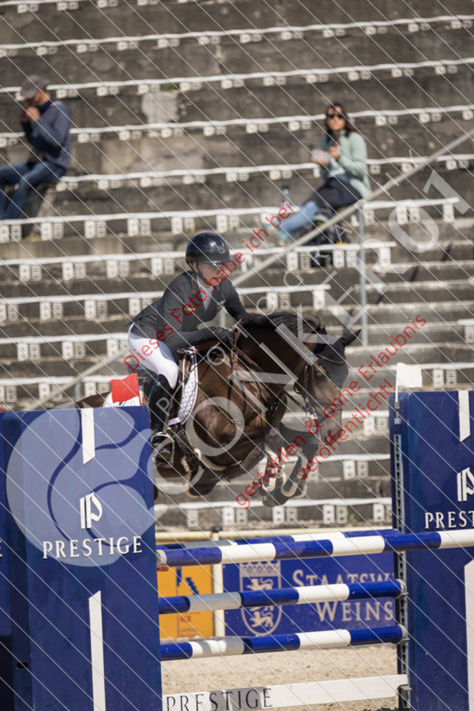 IMG_5307 | Sport-, Event- und Tierfotos in Profiqualität. Einfach auswählen, bestellen und herunterladen. Dein Moment – perfekt festgehalten.