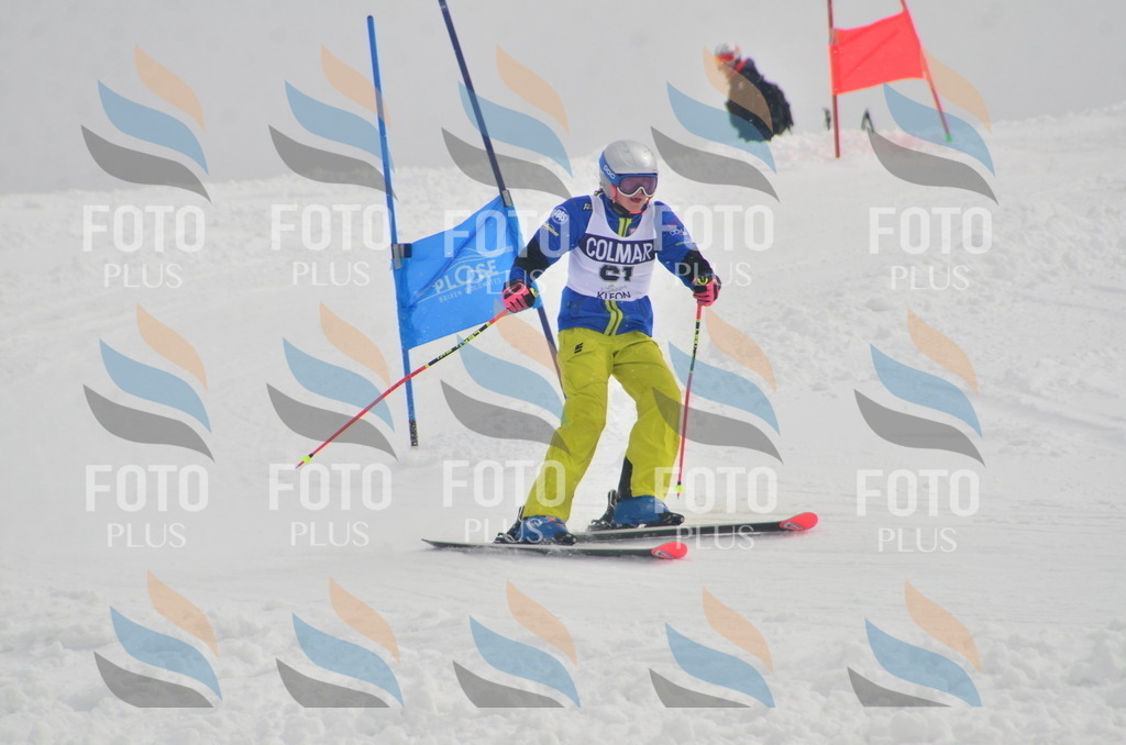 A5490 | holidayphoto