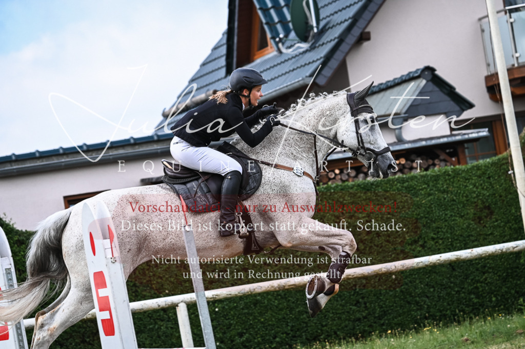DSC_8351 | Pferde- und Turnierfotografie in Westsachsen. Pferdeportraits, Auftragszeichnungen und intuitive Kunst.