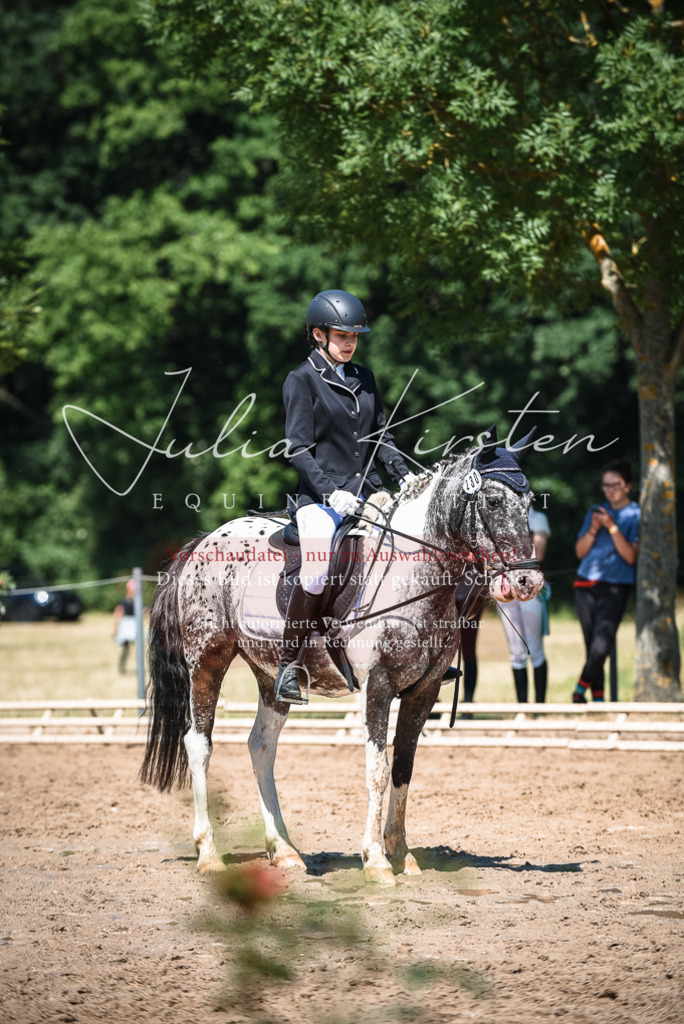 DSC_3201 | Pferde- und Turnierfotografie in Westsachsen. Pferdeportraits, Auftragszeichnungen und intuitive Kunst.