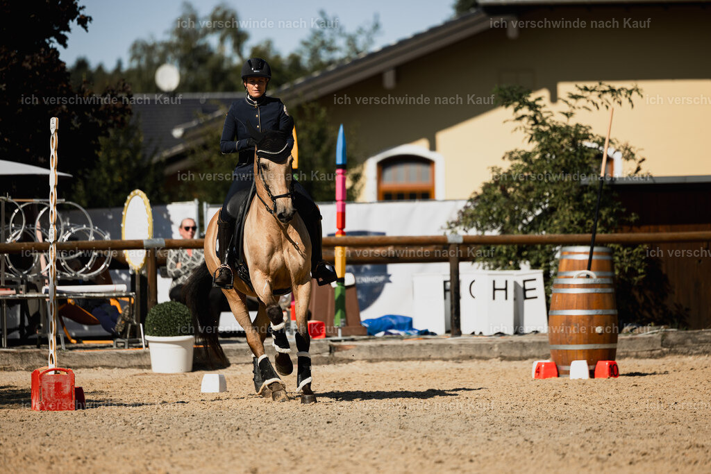 Diana11_FHC2025-27538 | working equitationturnier fotograf videograf stoibphotography marixx film working equitation deutschland reitsport turnierfotografie eventfotografie equestrian events