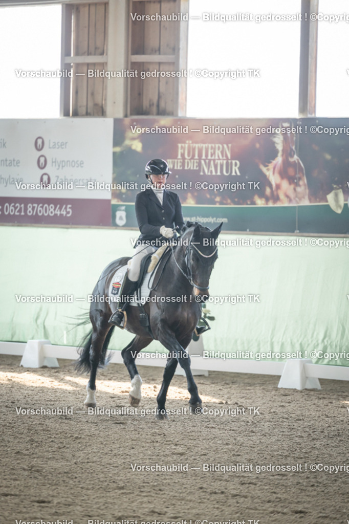 _D5A0465 | Emotionale Pferde- & People-Fotografie rund um Heidelberg, Leimen & Umgebung. Natürliche Fotos von Pferd, Mensch & Familie. Jetzt Termin sichern!