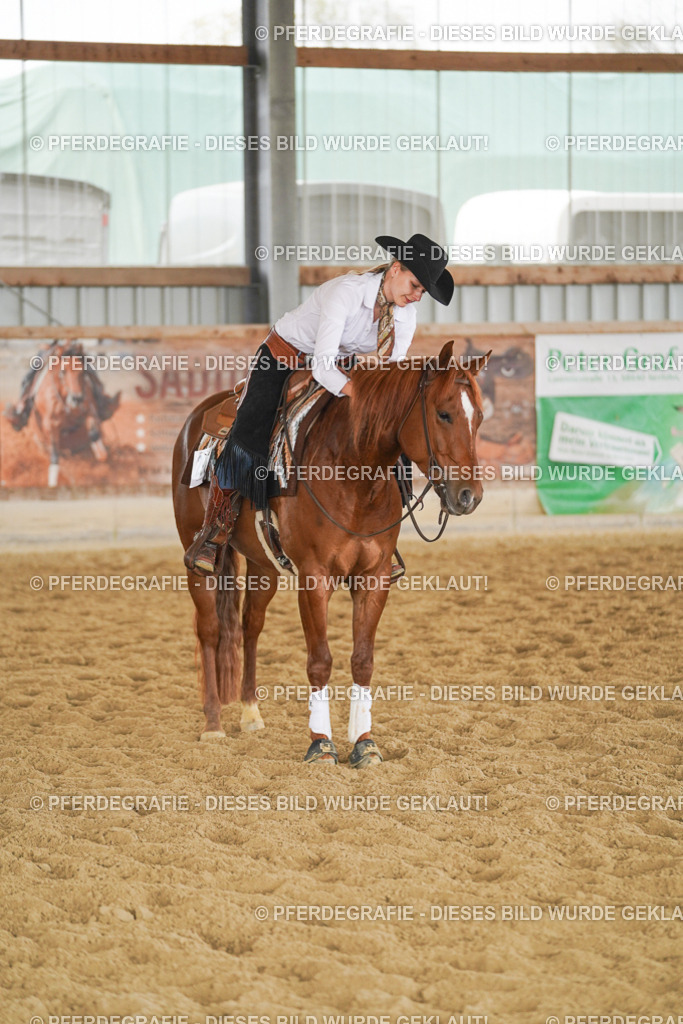 DSC06443 | Pferdegrafie