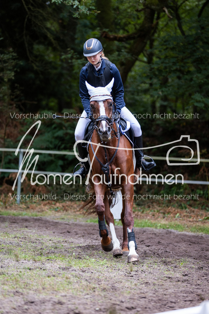 HB-Caprilli-059 | MomenTaufnahmen Pferdesportfotos