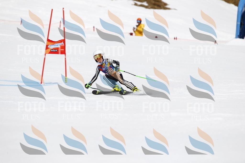 _U3G6314 | holidayphoto