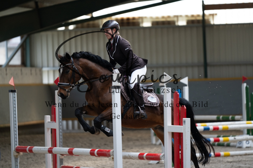 A7V07895 | Pferdefotograf