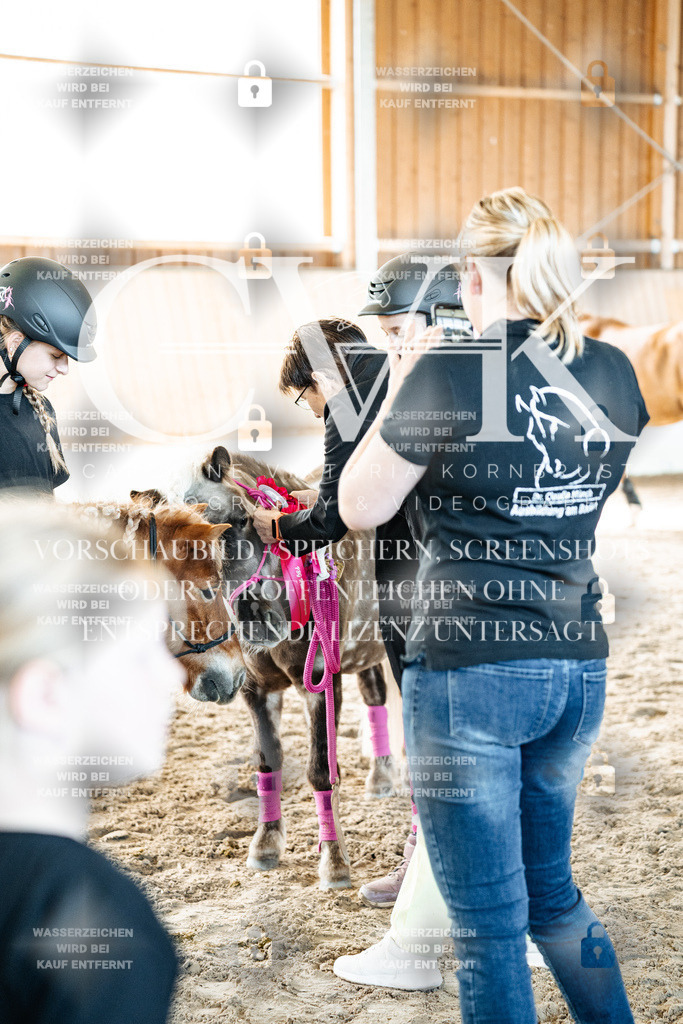 CK703197 | Turnierfotografie Pferdefotografie Trier Rheinland-Pfalz Pferdesport Reitsport Tierfotografie Sportfotografie Pferdevideo Pferdevideografie Equestrianvideography equestrianphotography  - Realisiert mit Pictrs.com